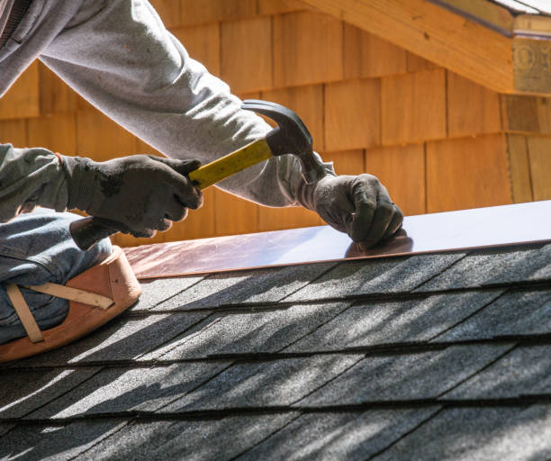 Best Roof Gutter Cleaning  in Troutman, NC